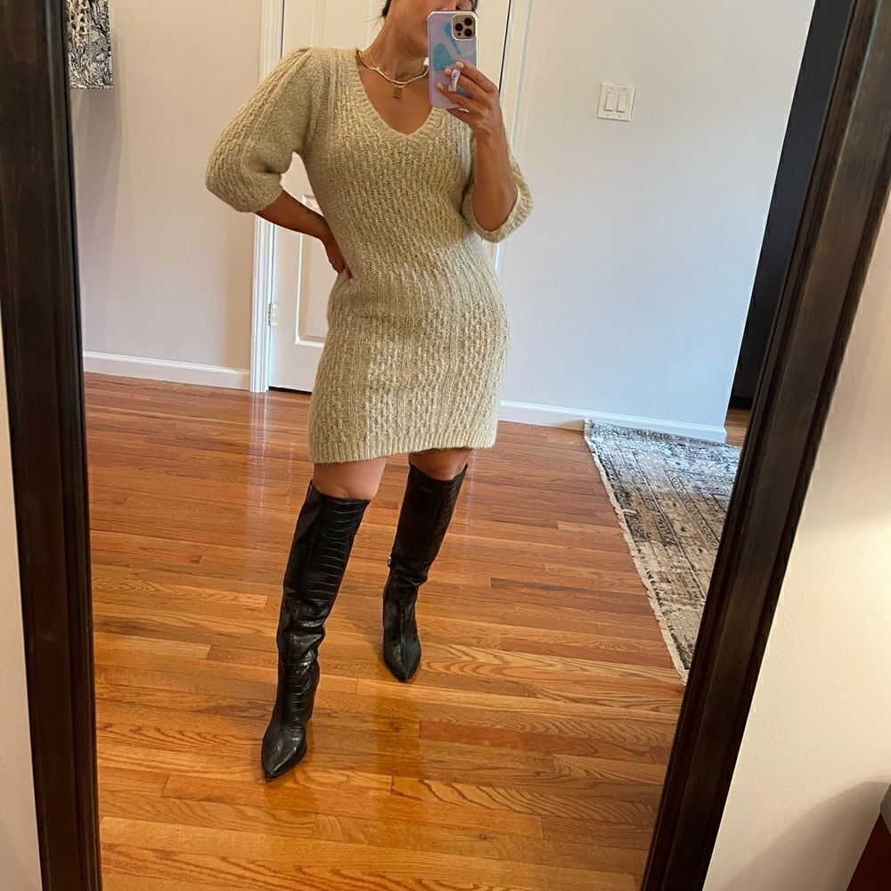 Kaisely Wool/Alpaca Blend Short Sleeve Sweater Dress | SZ M